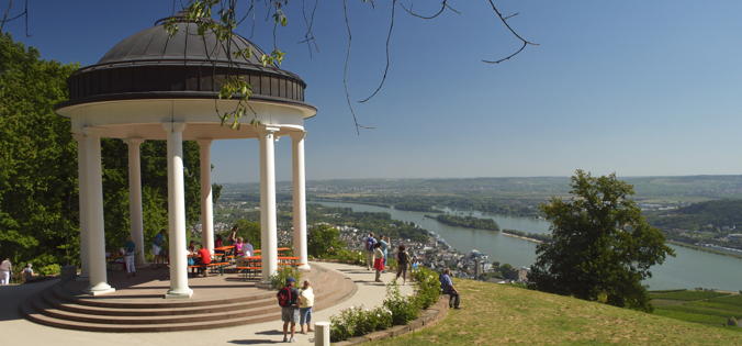 Wanderung Rheingau und Rheinsteig