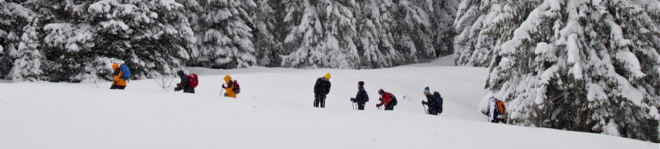 Schneeschuhwandern 2012