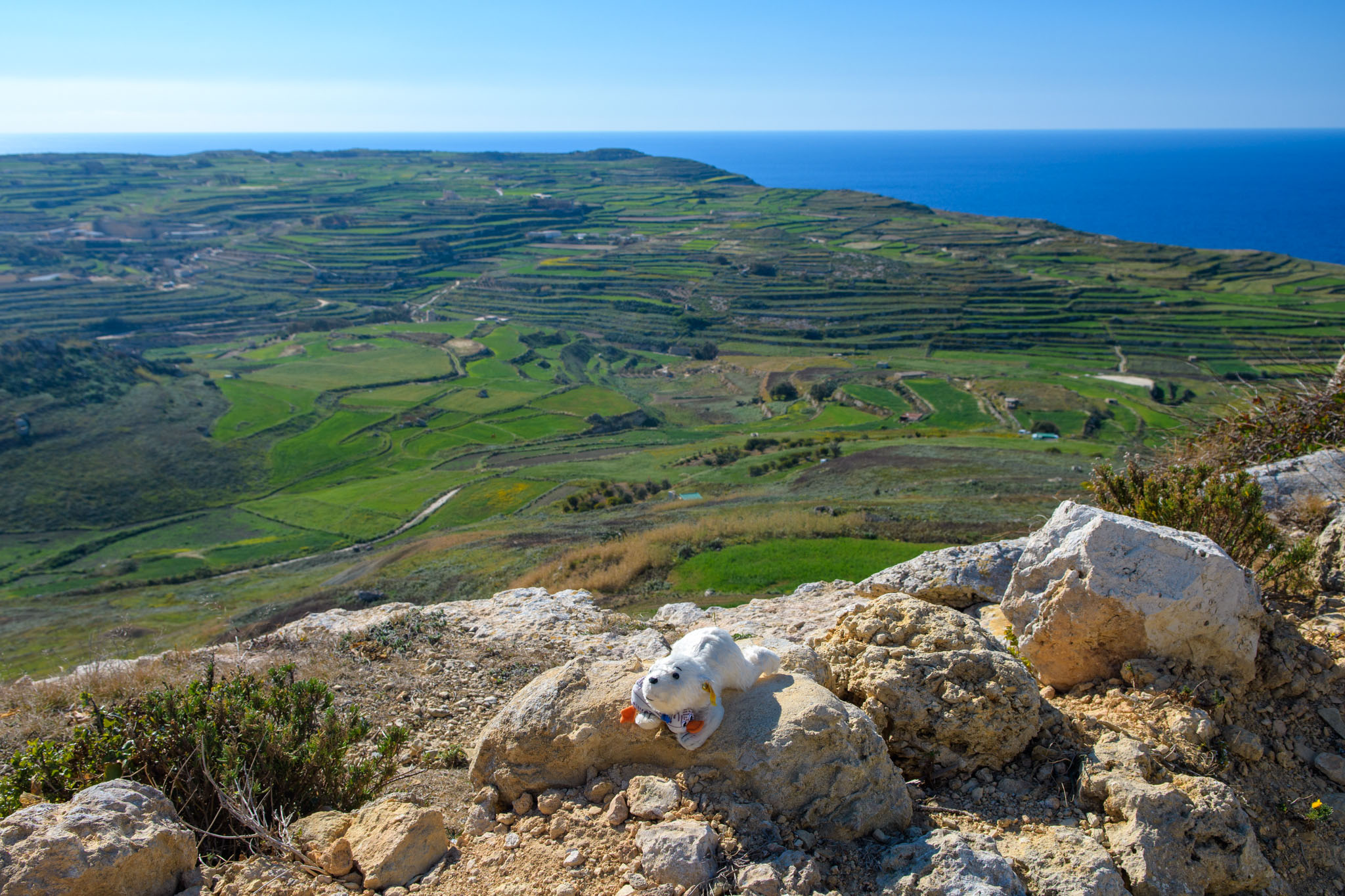 Lars auf Malta