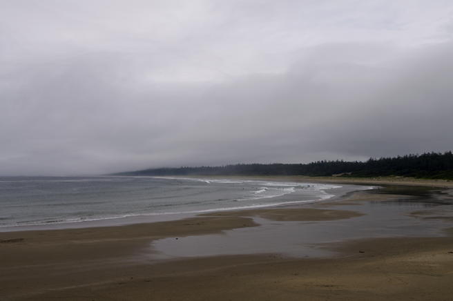 Tofino