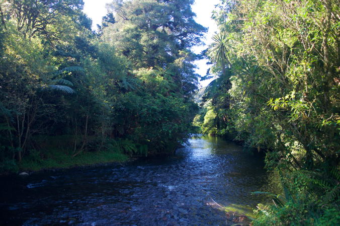 Mangaokewa Reserve