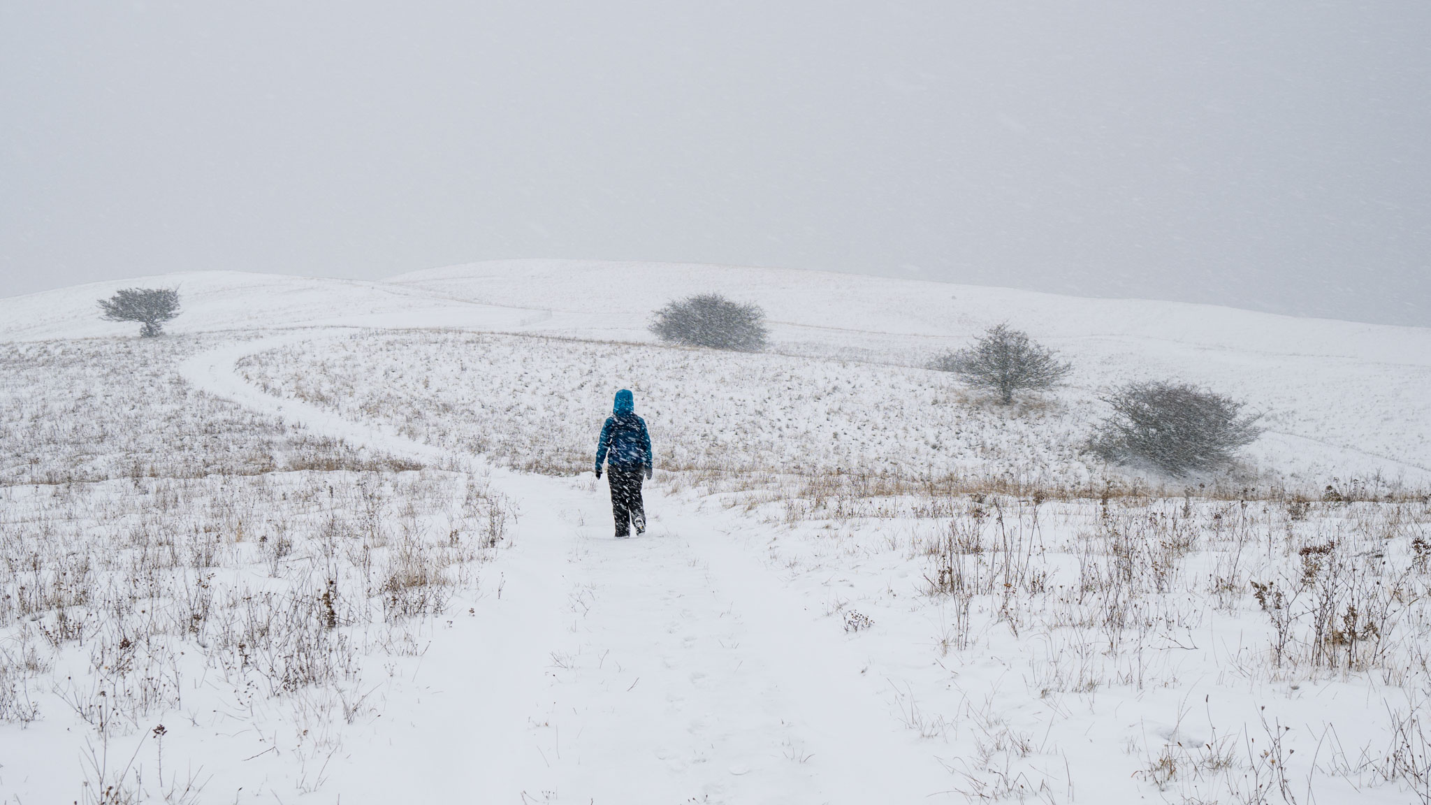 Maria beim Wandern durch die verschneiten Zickerschen Berge