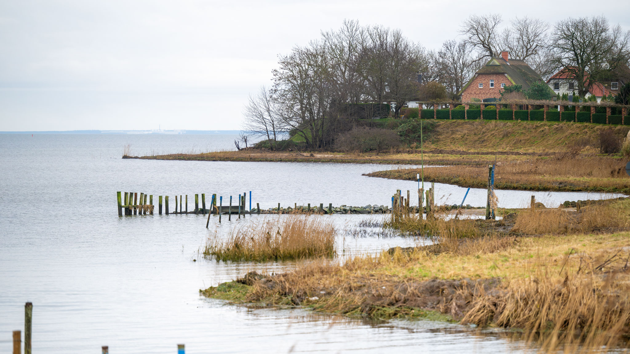 Uferlandschaft am Greifswalder Bodden nahe dem Wreechener See