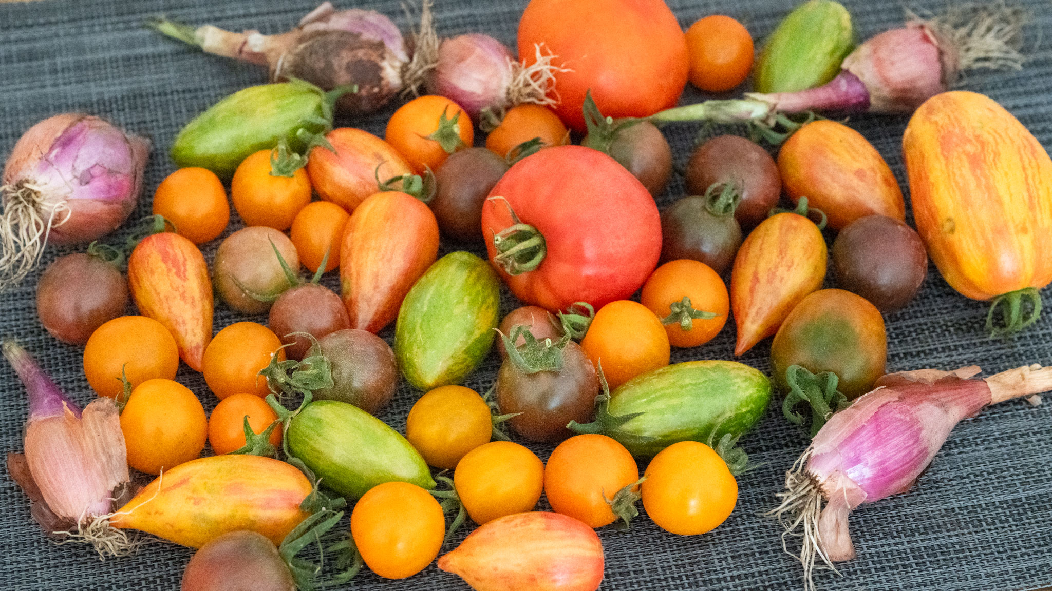 erster Tomateneinkauf beim Stekovics – eine bunte Sammlung verschiedenster Tomatensorten (und ein paar Zwiebeln)