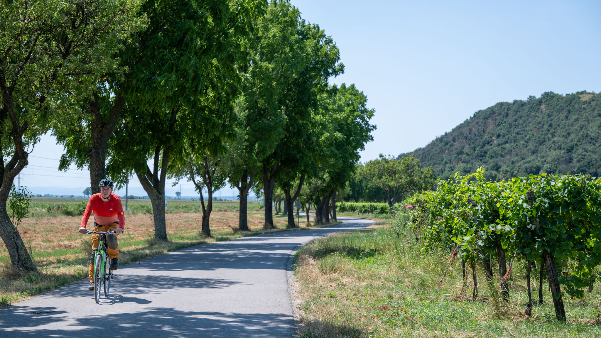 Thomas auf den Radweg rund um den Neusiedler See
