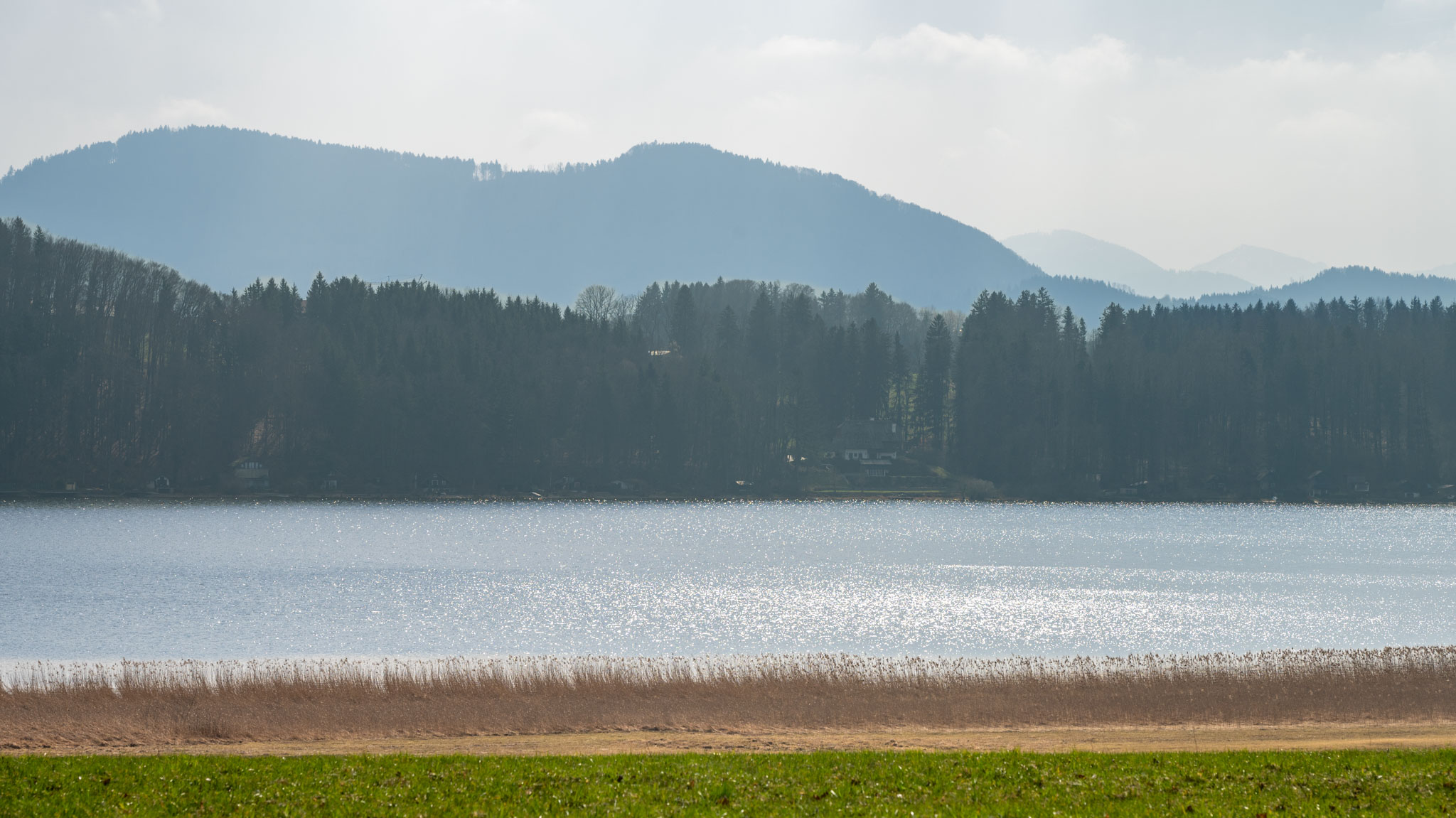 Blick über den Wallersee Richtung Süden