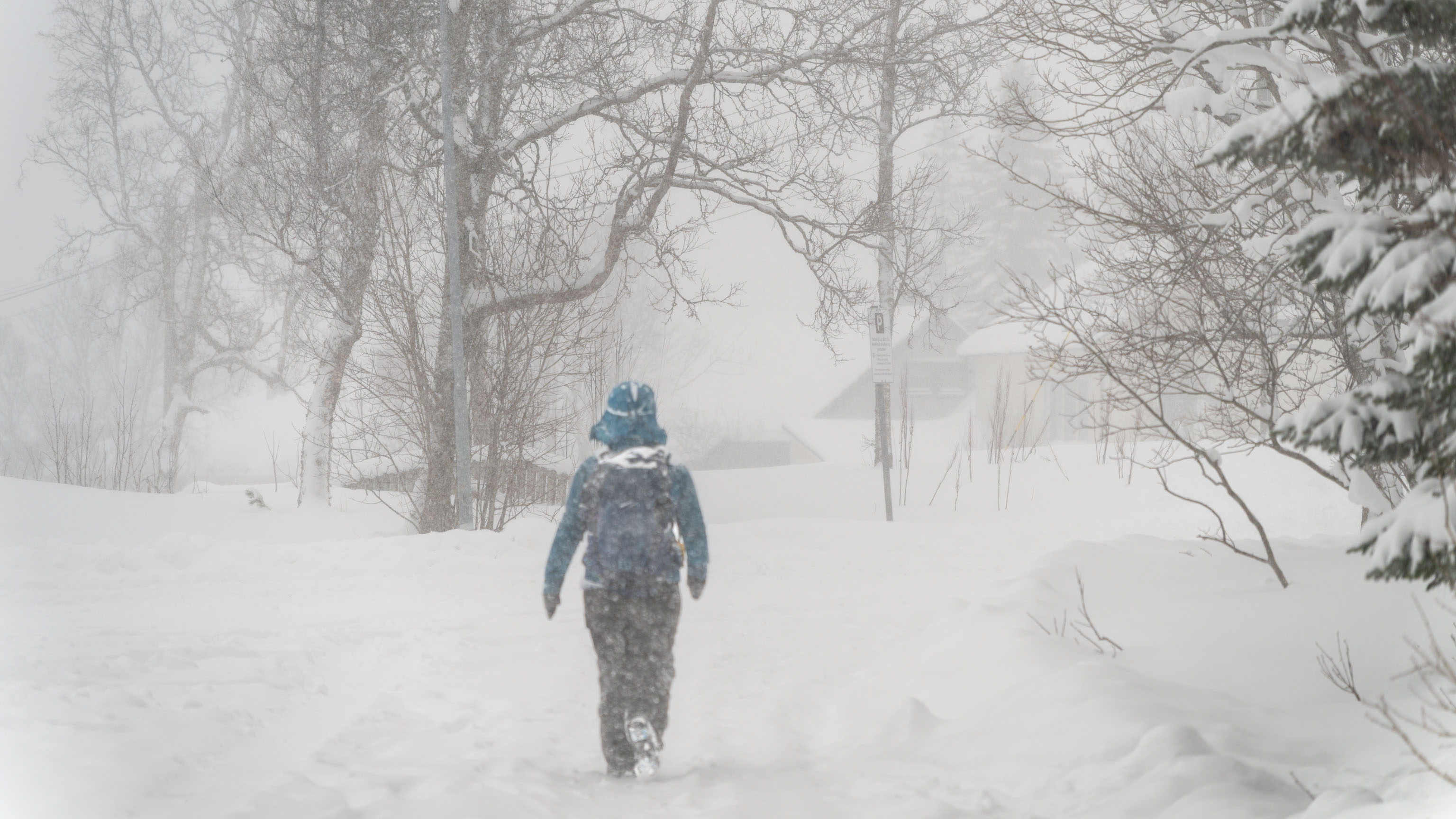 Maria während unserer heutigen Winterwanderung auf einem schneebedeckten Weg unter Bäumen